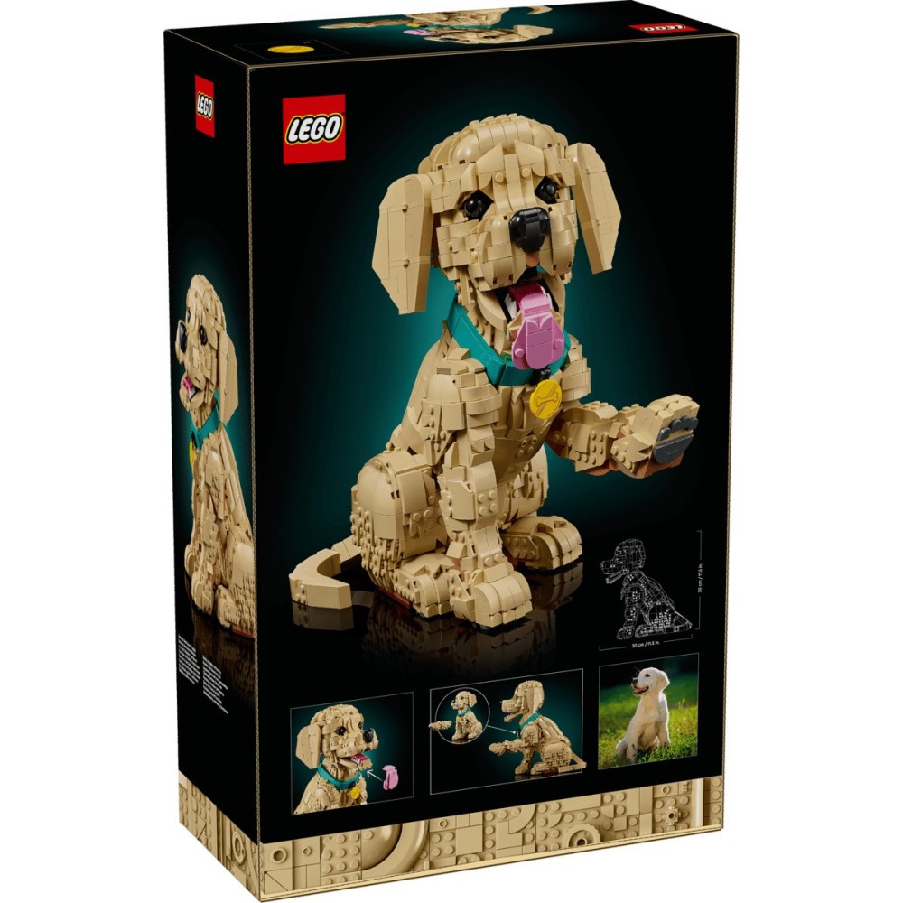 LEGO Icons 11384 Cucciolo di Golden Retriever | Nerdqora